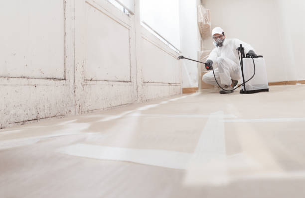 24/7 Emergency Attic Mold Removal experts in New Bloomfield, PA