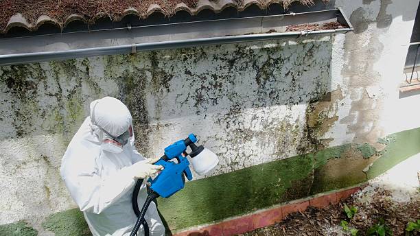 Top rated local Attic Mold Removal specialists in New Bloomfield, PA